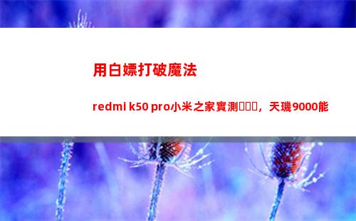 用白嫖沖破邪術 redmi k50 pro小米之家實地測量，天璣9000是否焊**車門
